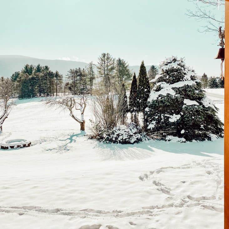 A Sunny Vermont Winter Day