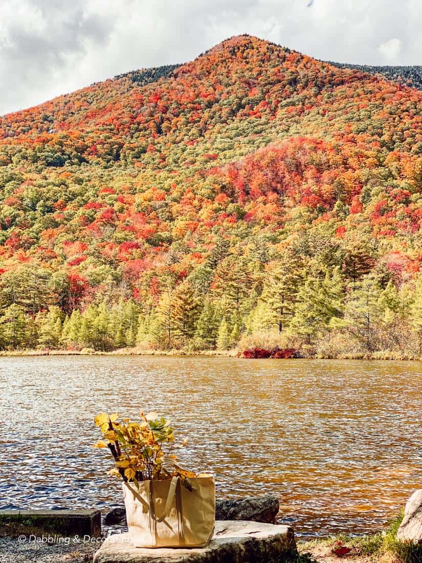 Hiking and Gathering for Natural Fall Decor Elements