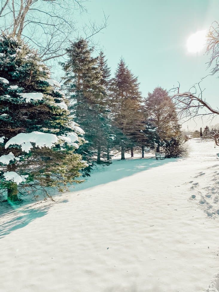 A Sunny Vermont Winter Day