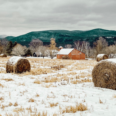 VERMONT HOME