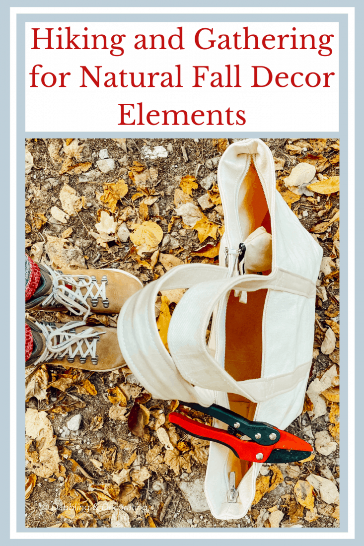 Hiking and Gathering for Natural Fall Decor Elements