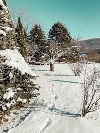 A Sunny Vermont Winter Day A Sunny Vermont Winter Day