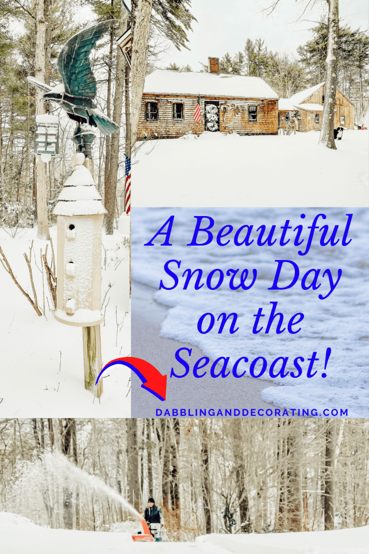 A Beautiful Snow Day on the Seacoast