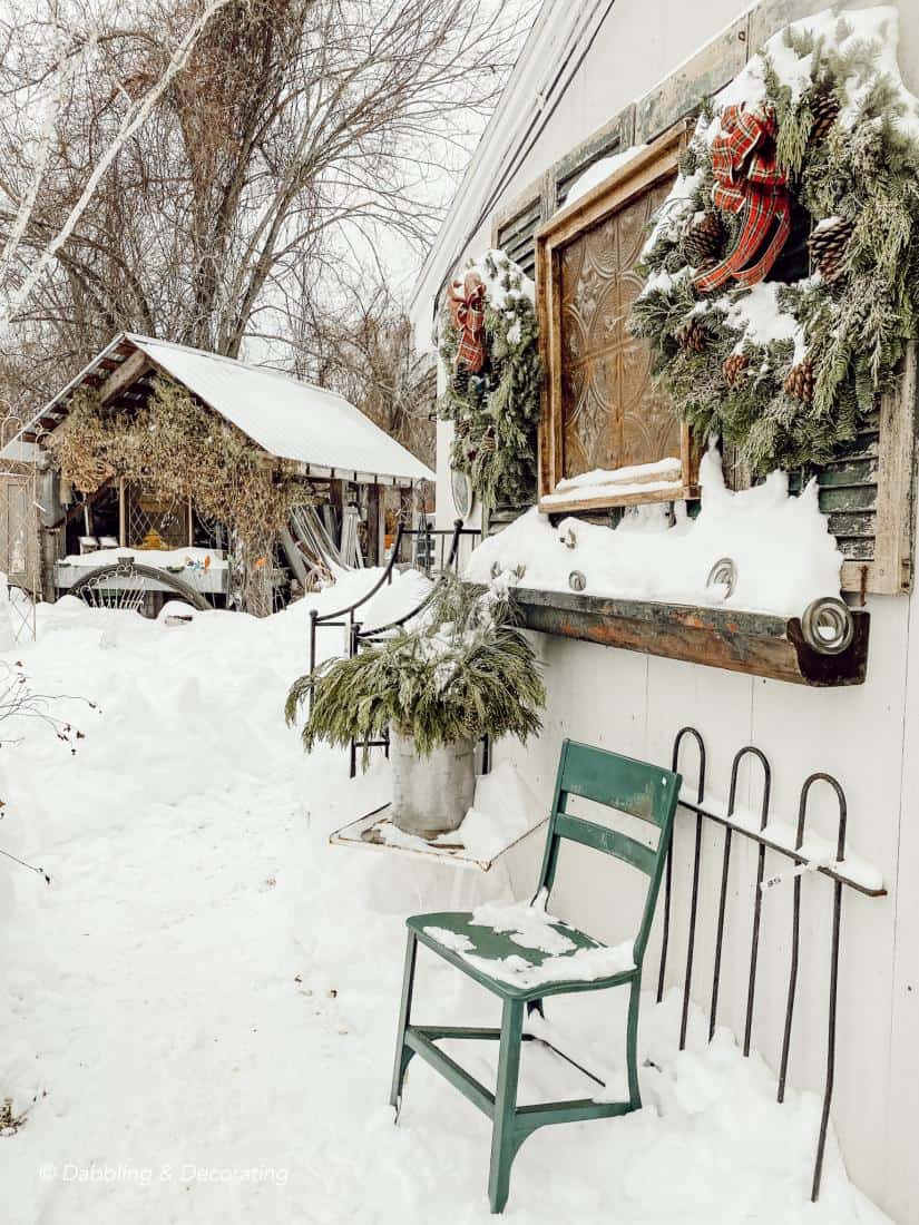 Thrifting in Winter's Snow