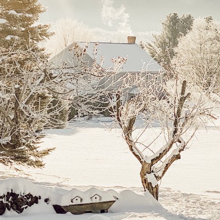 Vermont