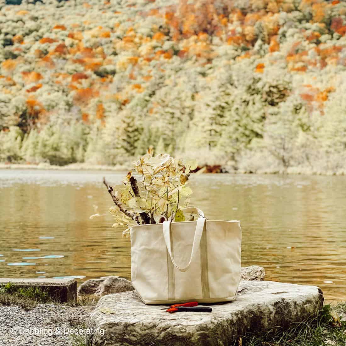 Hiking and Gathering for Natural Fall Decor Elements