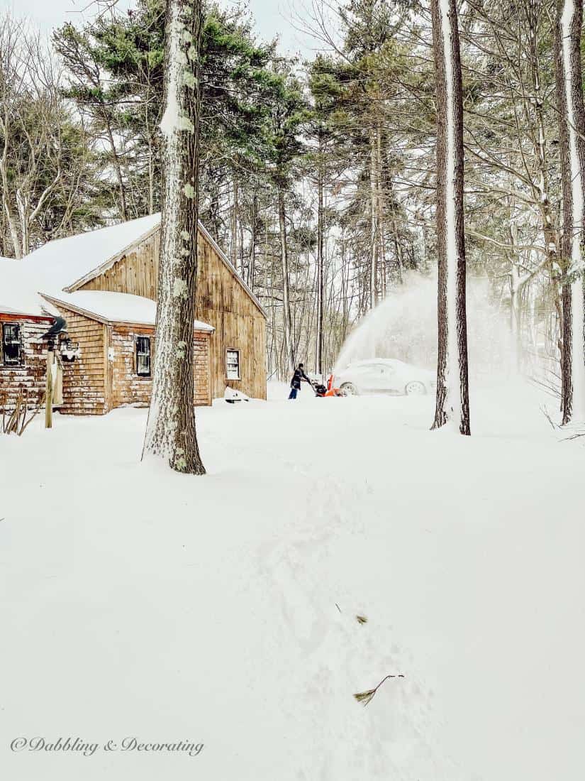 A Beautiful Snow Day on the Seacoast