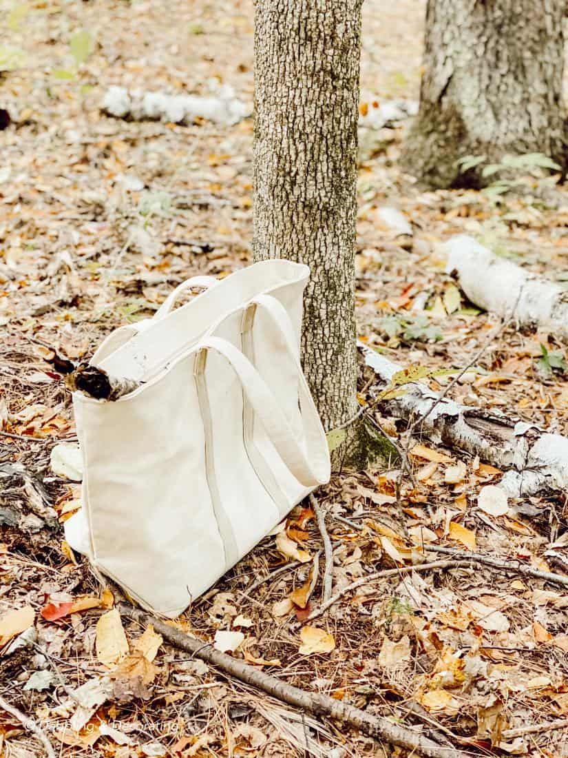 Hiking and Gathering for Natural Fall Decor Elements