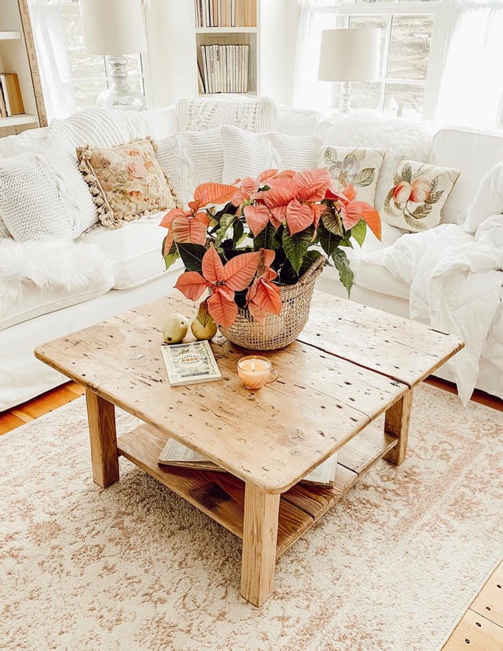 White couch and pink poinsettia