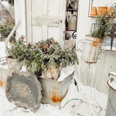Thrifting in Winter’s Snow