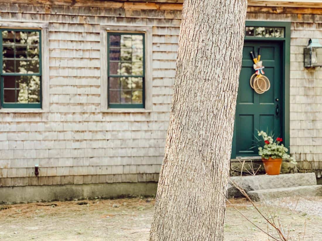 cedar shake siding and a tree