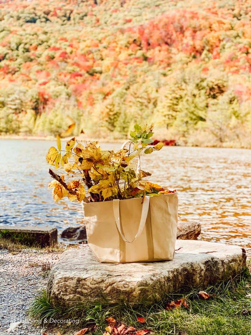 Hiking and Gathering for Natural Fall Decor Elements