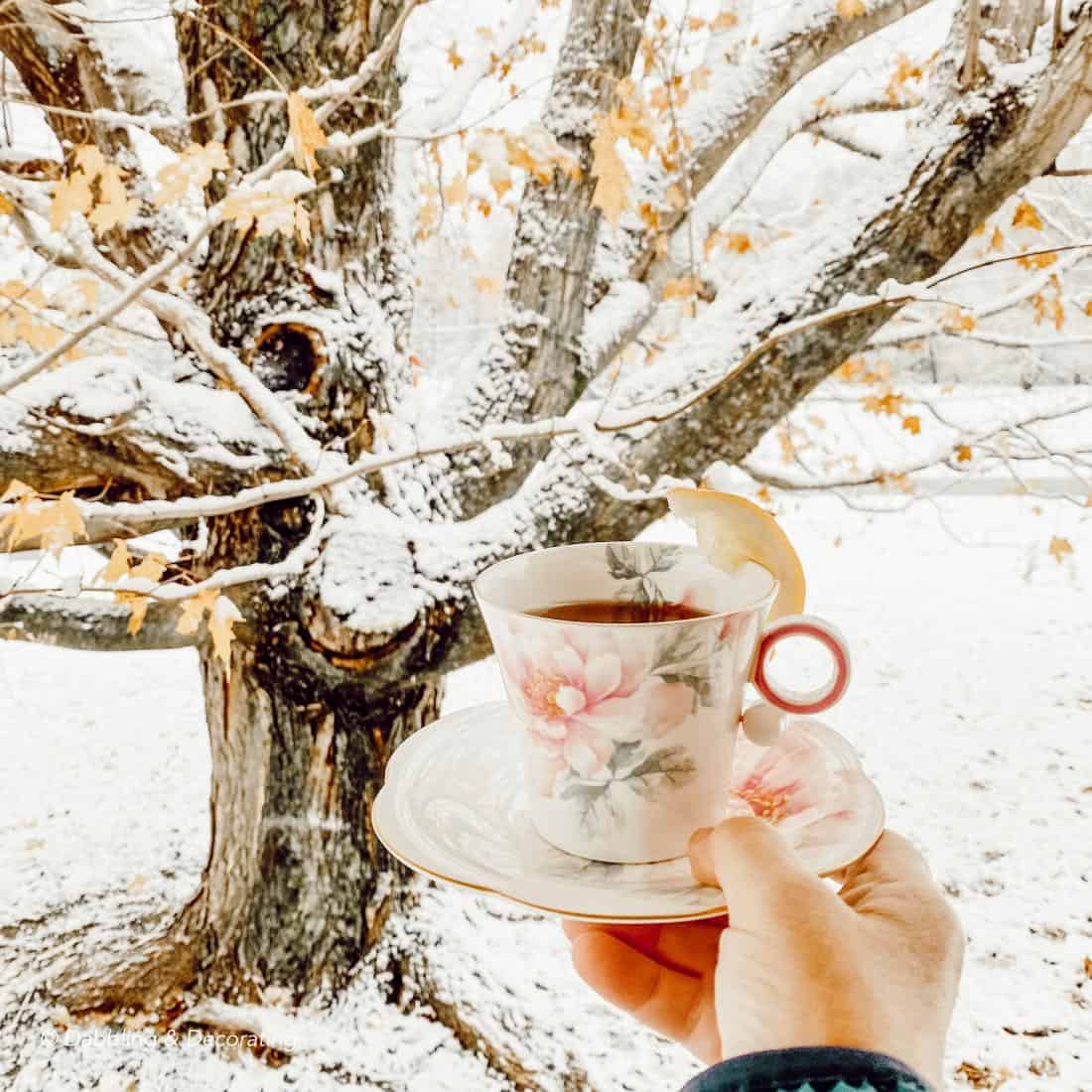 Warming up in Vermont with the Traveling Teacup