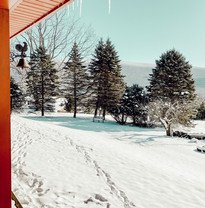 Vermont Backyard