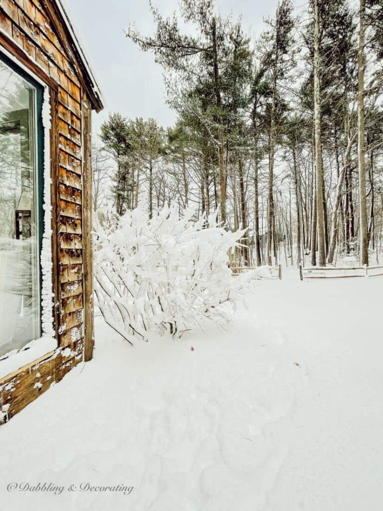 Backyard at with snow at cottage in Maine