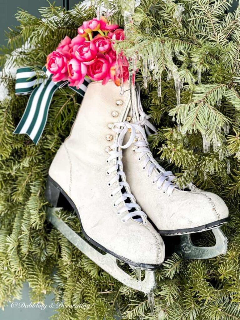 Vintage ice skates with pink flowers on Christmas evergreens.