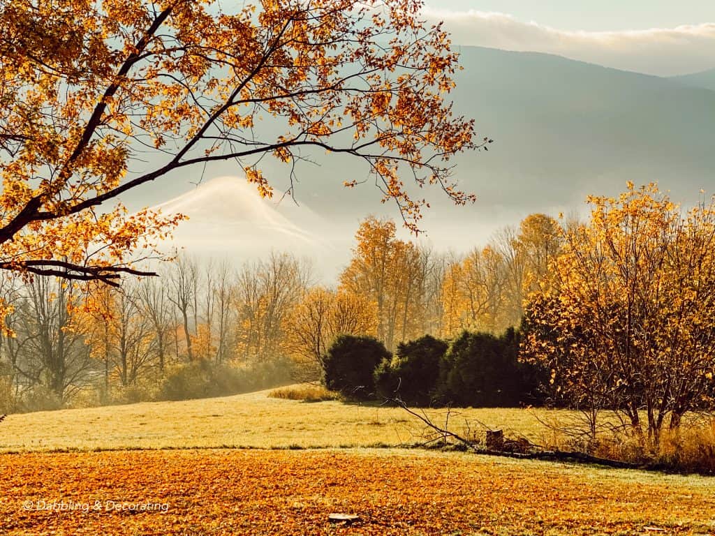 Autumn colors in the mountains of Vermont.