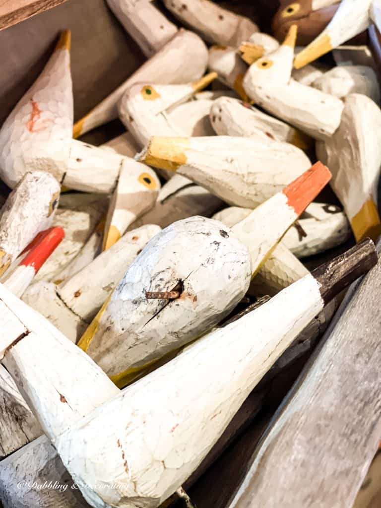 group of ducks on display