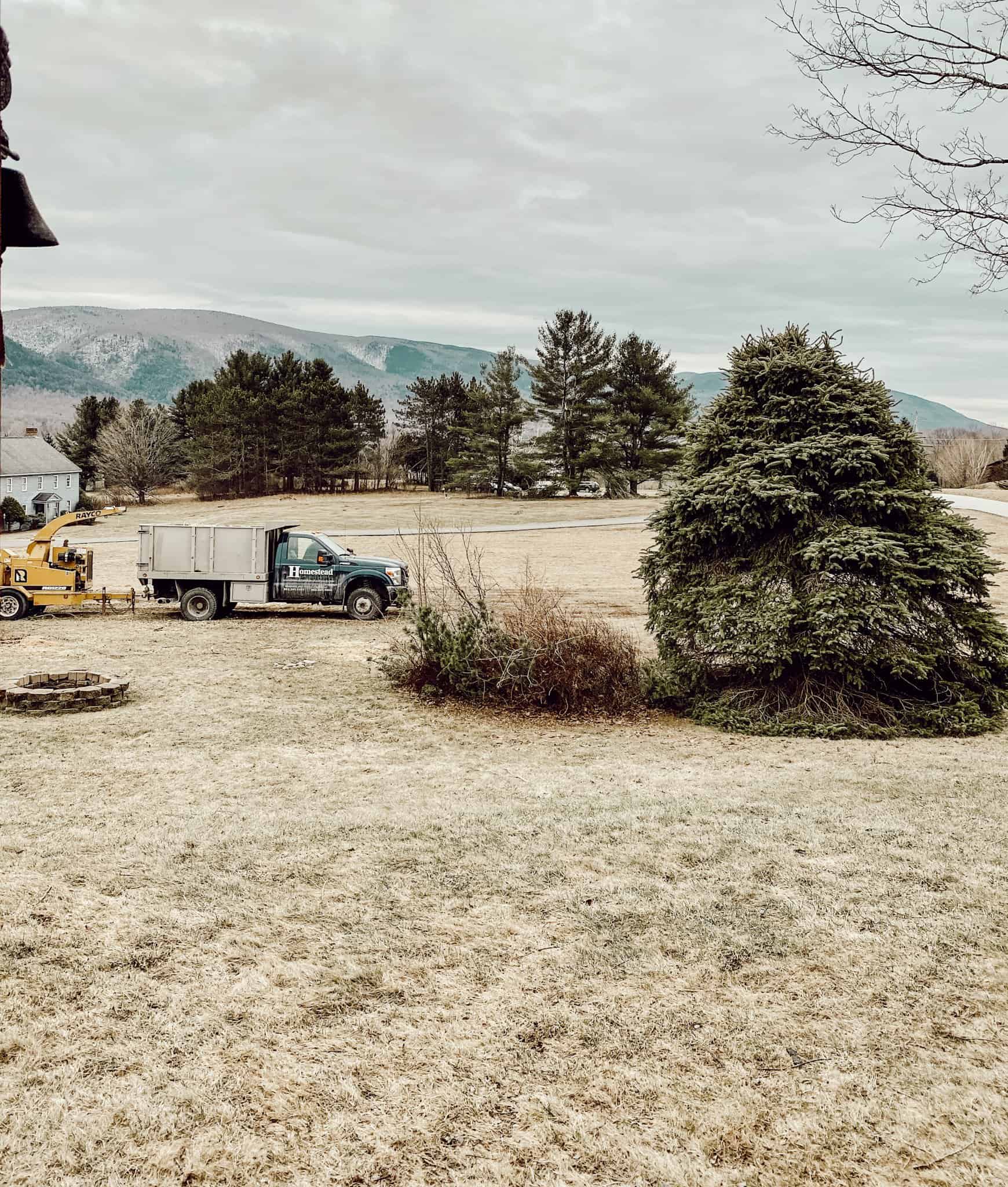 front yard with mountains in the background