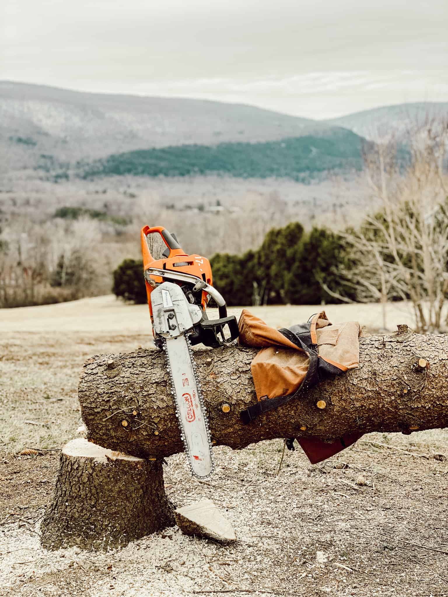 An electric saw on a tree