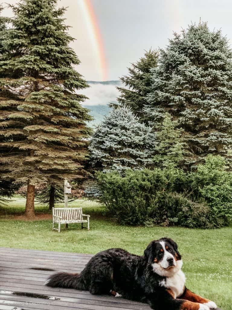 Rainbows and Mountain Views.