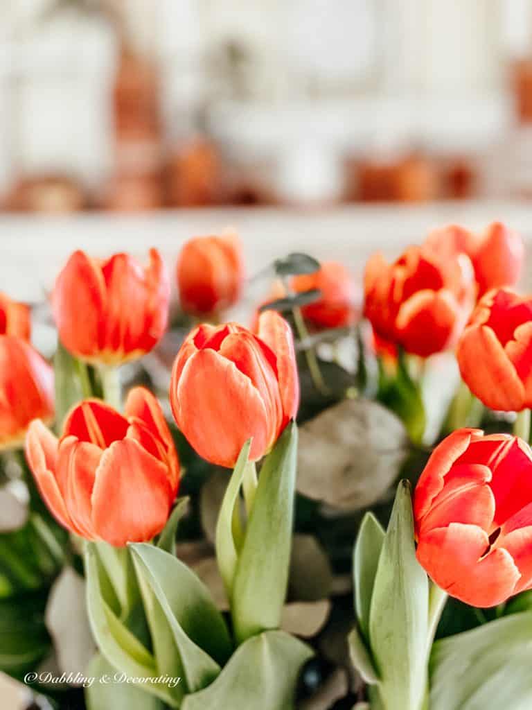 bouquet of spring orange tulips