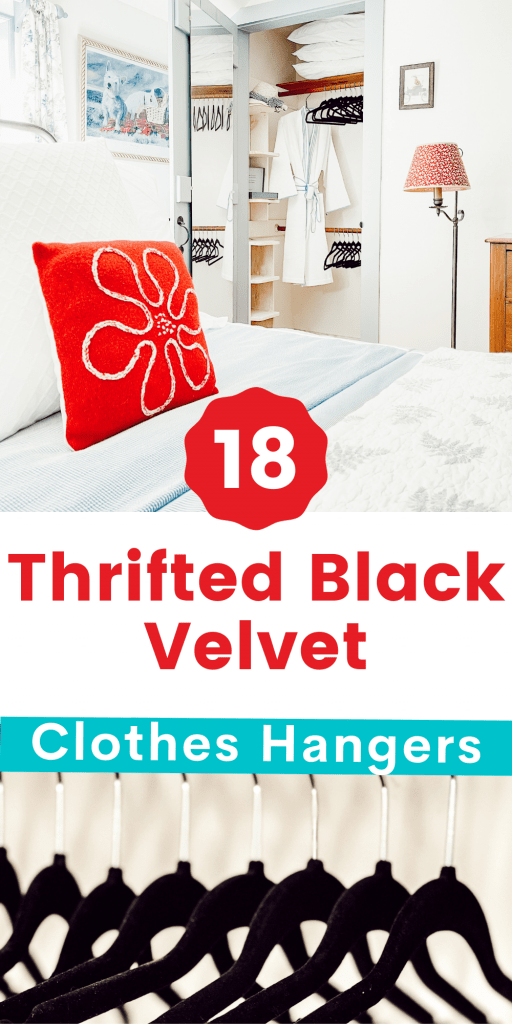 Velvet and Clothes hanger