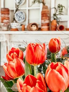 Spring Tulips and Terracotta Pots