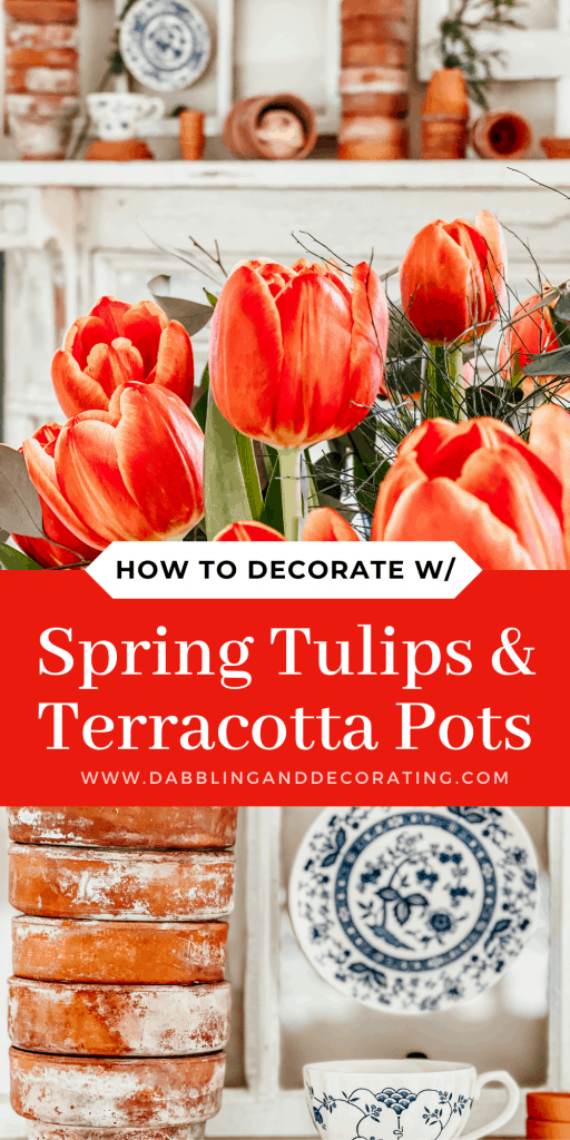 Spring Tulips and Terracotta Pots.