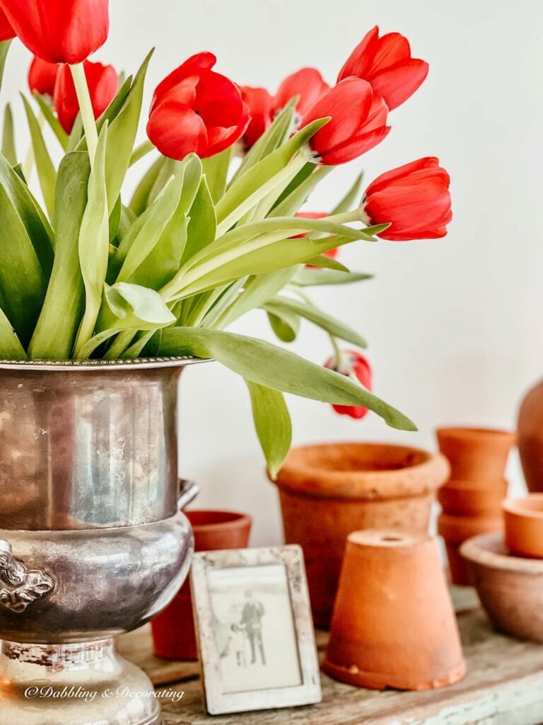 Terracotta pots indoors with vintage silver champagne bucket filled with pink tulips on antique apothecary cabinet with silver framed photo.