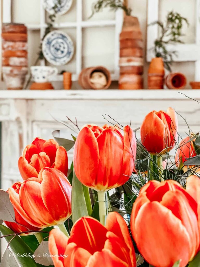 Orange Tulips framing terracotta pots on mantel