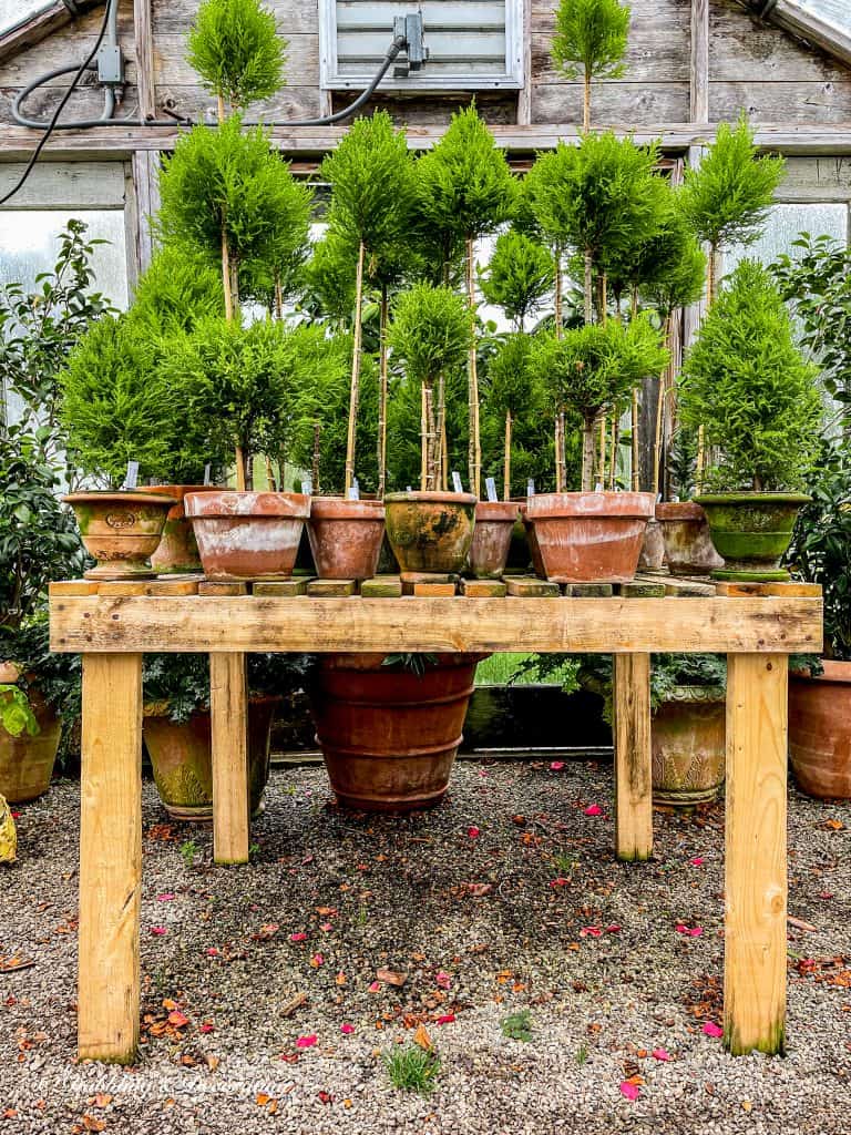 Snug Harbor Farm's topiary greenhouse.