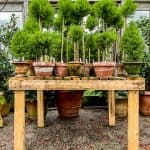 Go Green - A Visit to Snug Harbor Farm, Maine