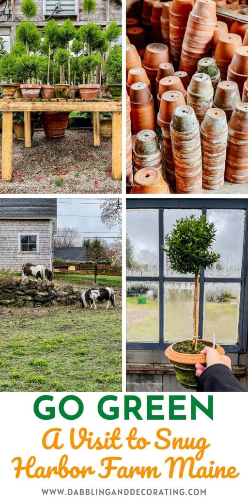 Go Green A Visit to Snug Harbor Farm Maine