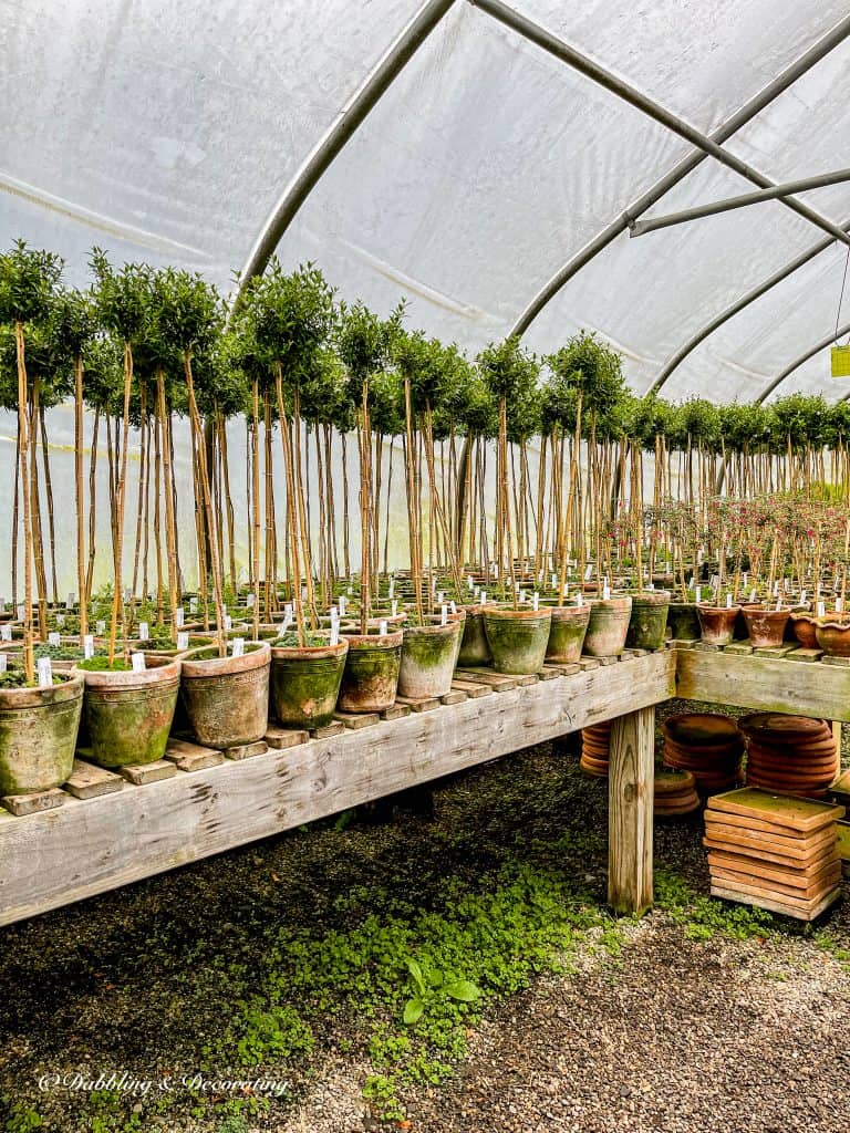 Topiaries at Snug Harbor Farm Maine