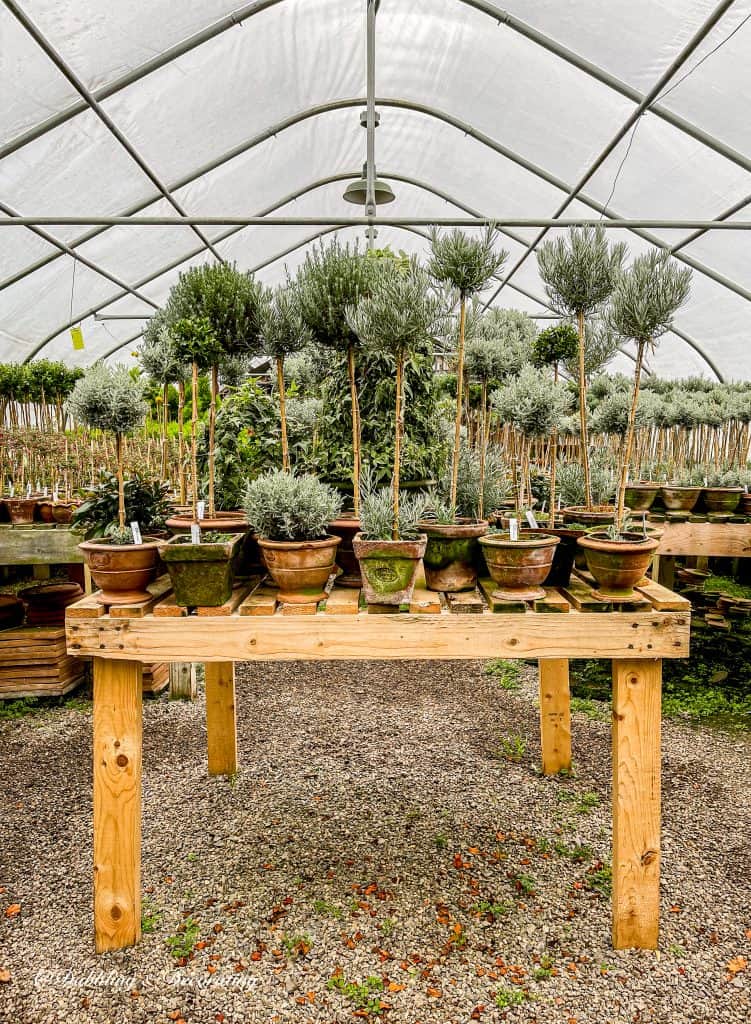 Topiaries at Snug Harbor Farm Maine