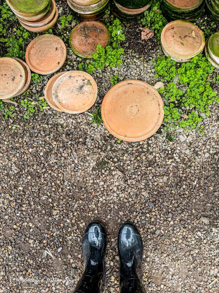 Rain Boots and Terracotta Pots