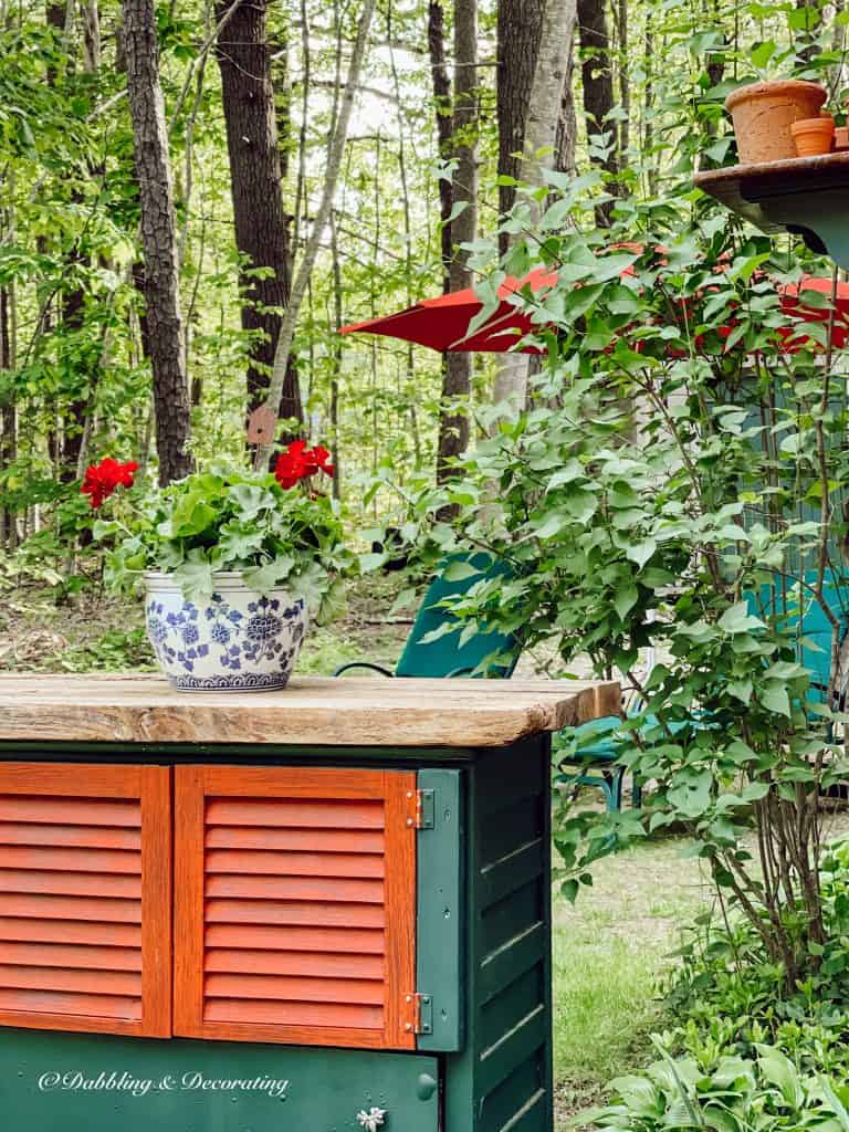 Thrift Vintage Stores Near Me.  Backyard decorated with geraniums.