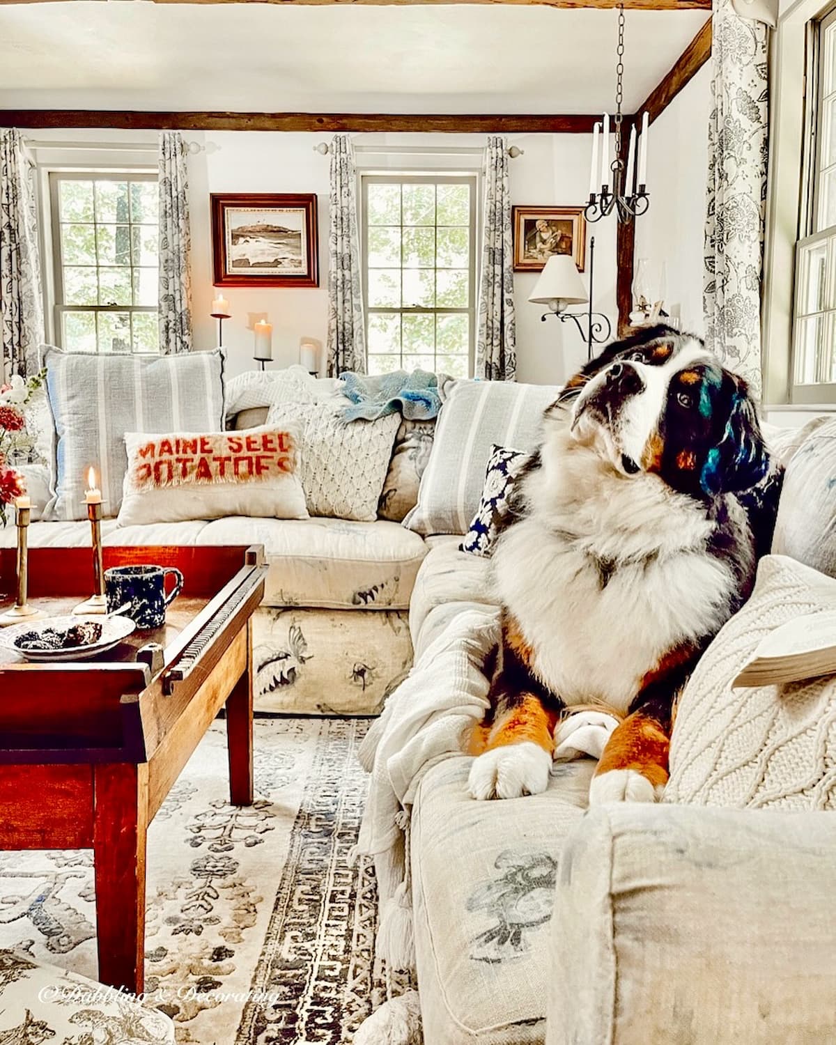 Colonial Decor Living Room Ideas from a Coastal New England Home