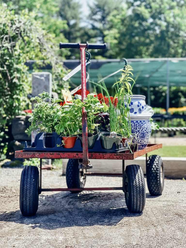 Thrift Vintage Stores Near Me. Cart filled with garden supplies.