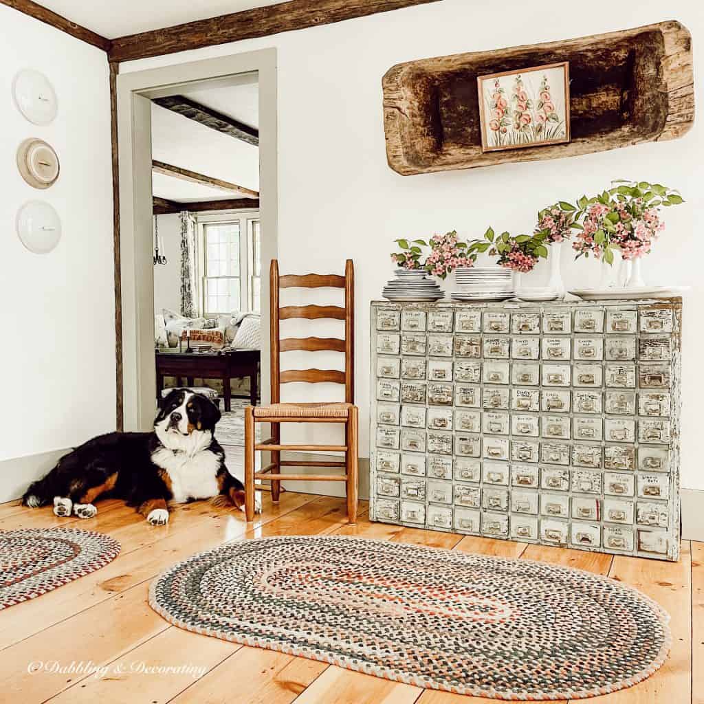 A Bernese Mountain Dog sitting next to a handmade braided rug in how to choose a vintage rug for wood flooring.
