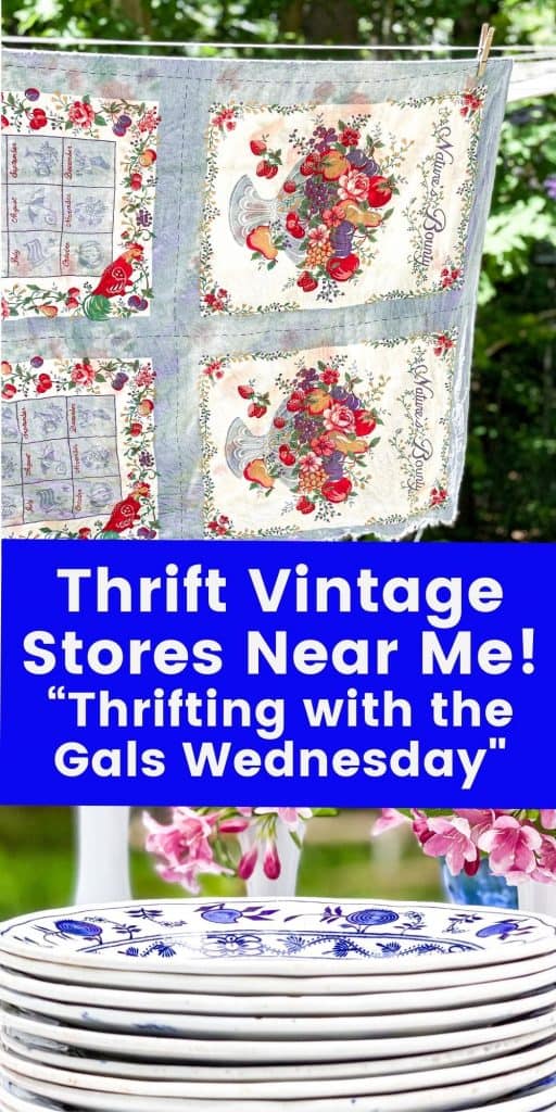 Thrift Vintage Stores Near Me