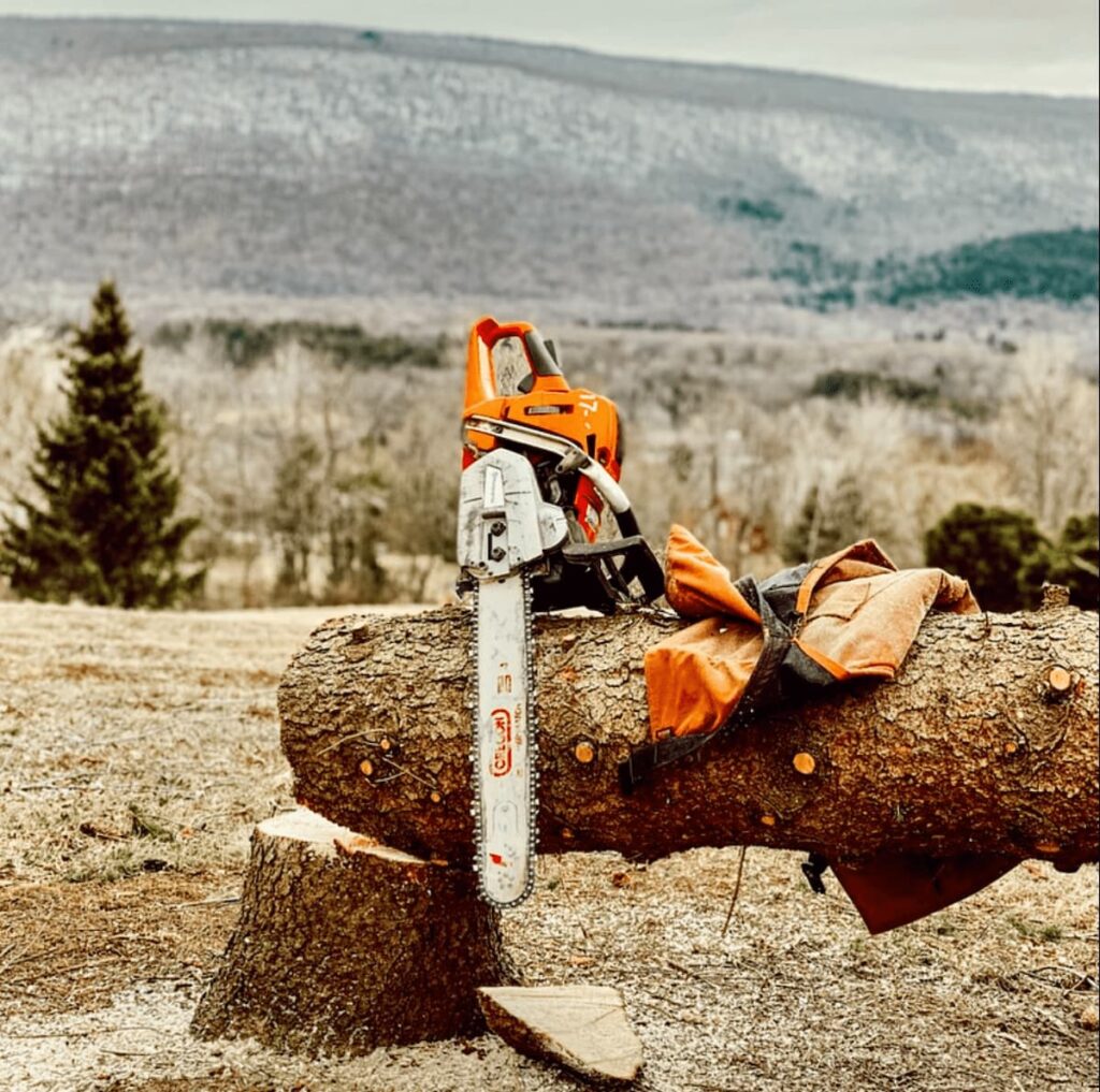 chainsaw lying on sawed over tree in backyard in the mountains.
