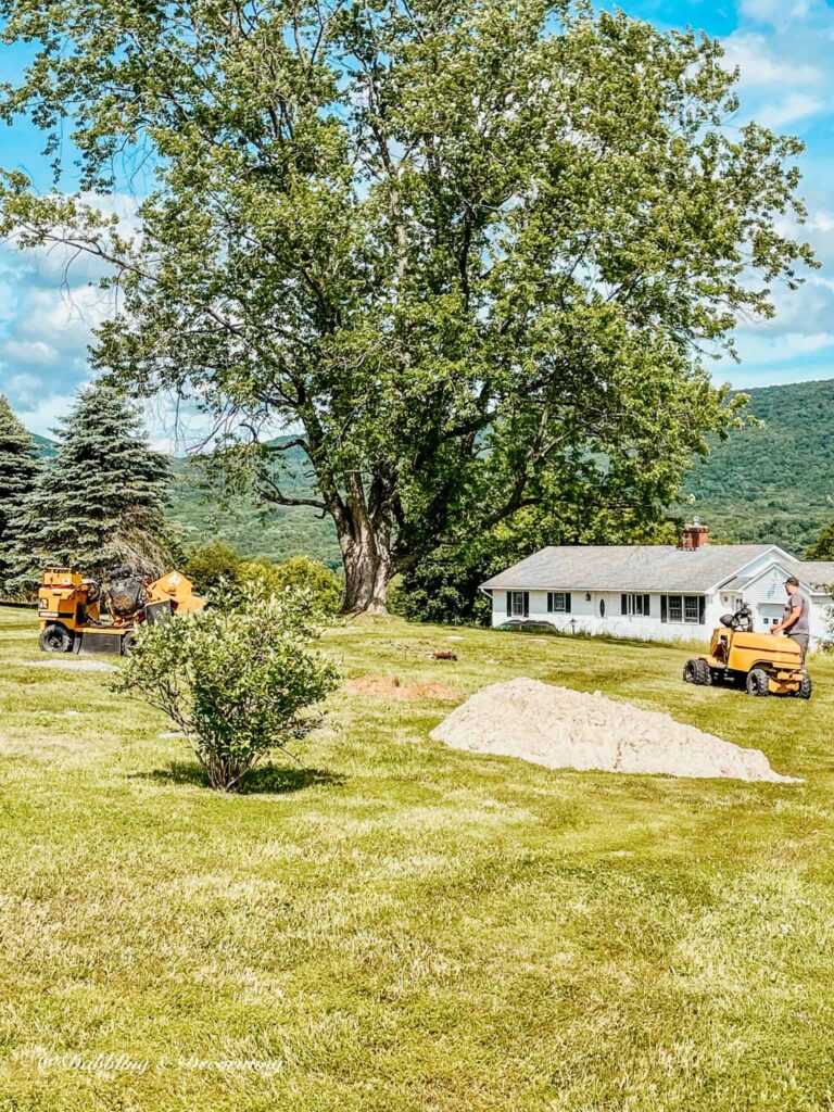 Backyard in preparation for a fire pit patio with tree stumpers.
