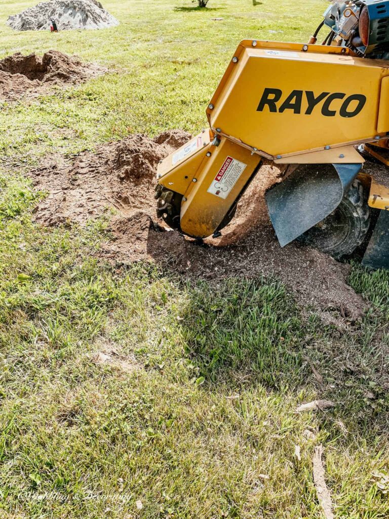 Tree stump remover grinding tree stumps.