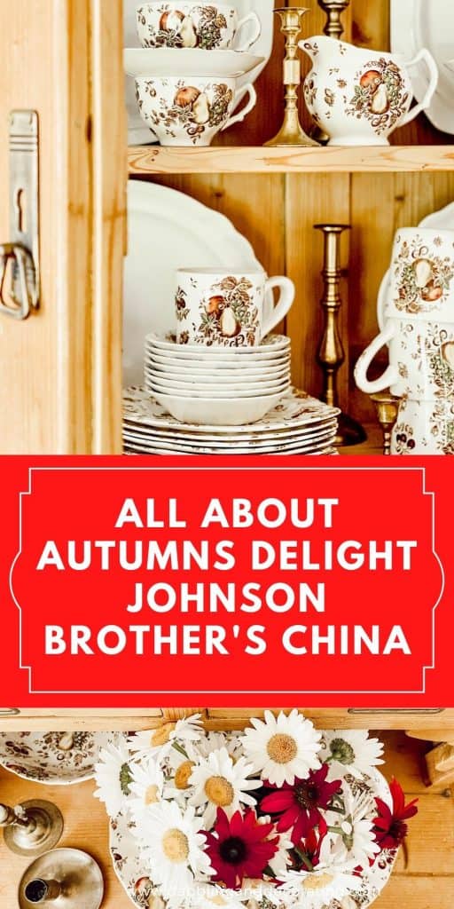 all about Autumn's Delight Johnson Brother's China