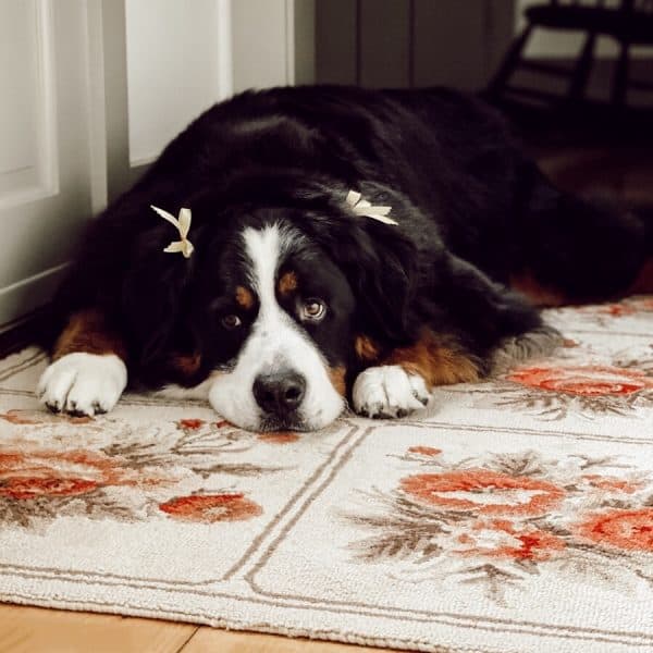 Estate Sale Rug