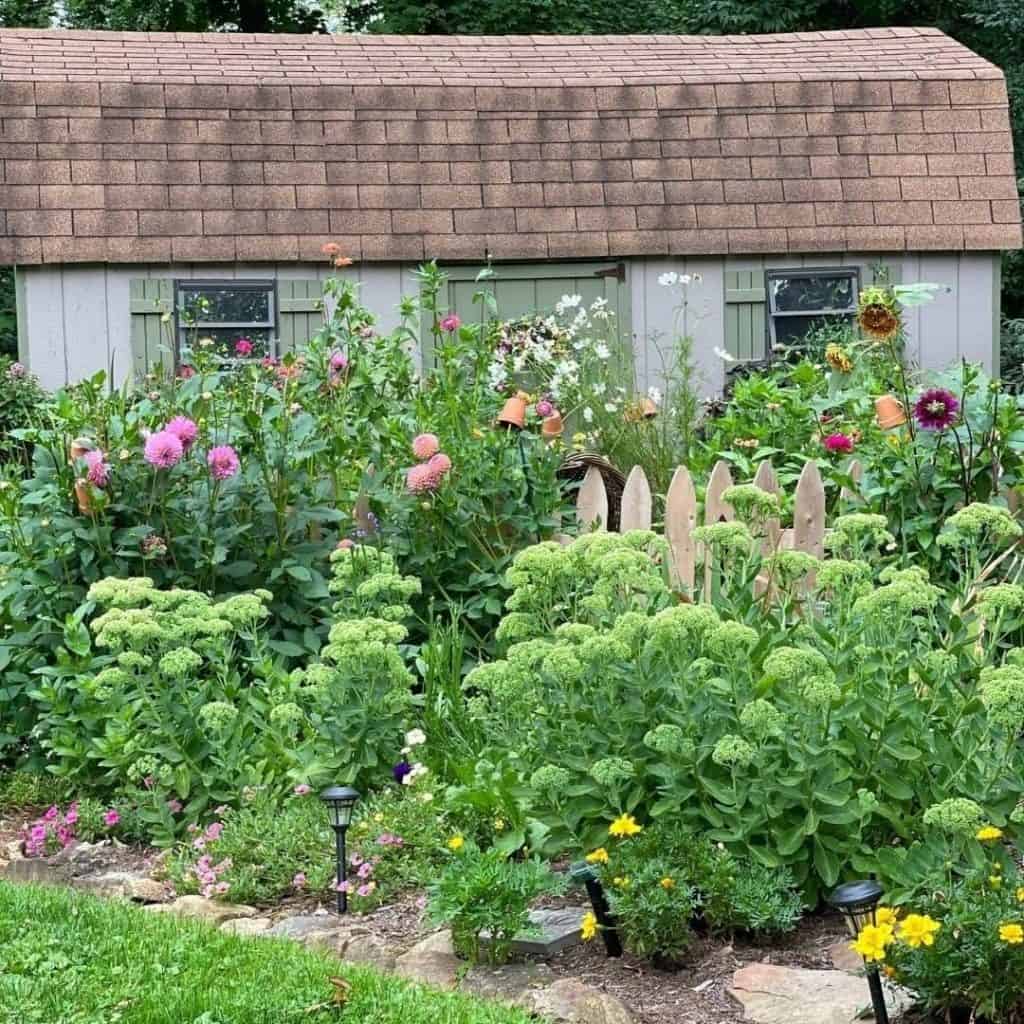 Garden  and garden shed