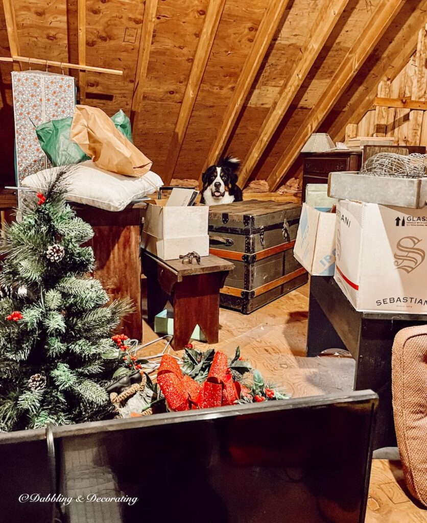 Trunk of Quilts in Attic with Bernese Mountain Dog