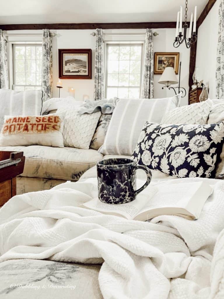Cozy Sectional Couch